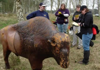  Jalo con arco de campo 